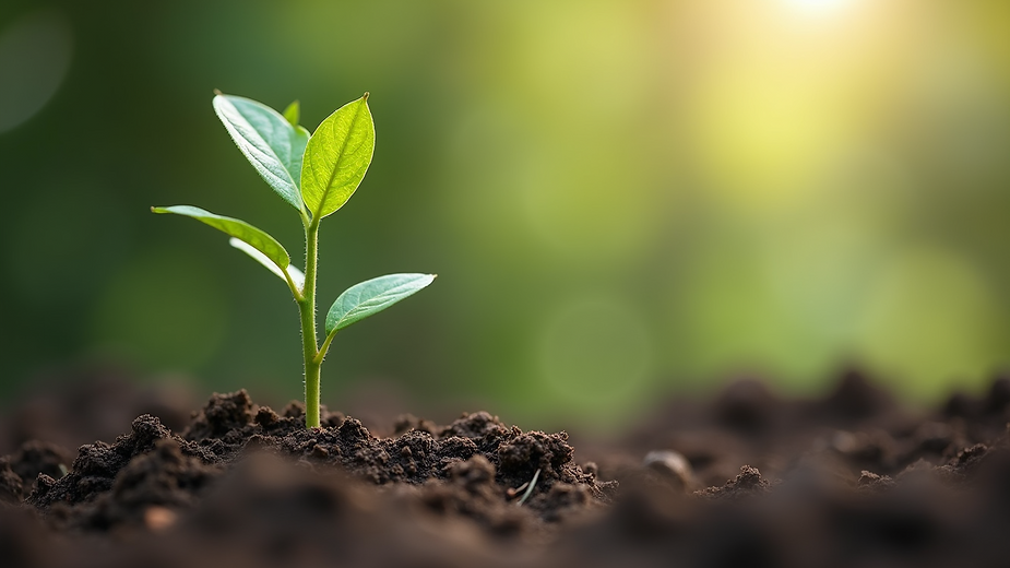 How Real Life Stories Ignite Motivation And Influence Change image 3